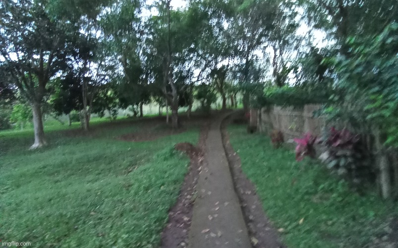 Duomenital | made w/ Imgflip meme maker