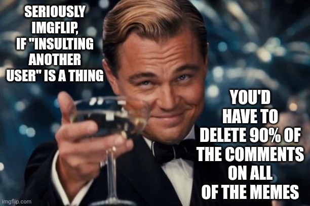 Confusion Is Nothing New | YOU'D HAVE TO DELETE 90% OF THE COMMENTS ON ALL OF THE MEMES; SERIOUSLY IMGFLIP, IF "INSULTING ANOTHER USER" IS A THING | image tagged in memes,leonardo dicaprio cheers,antman what the heck happened here,confused confusing confusion,nonsense,where does it hurt | made w/ Imgflip meme maker