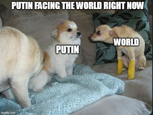 Putin Vs world | PUTIN FACING THE WORLD RIGHT NOW; WORLD; PUTIN | image tagged in dog avoiding eye contact with staring dog | made w/ Imgflip meme maker