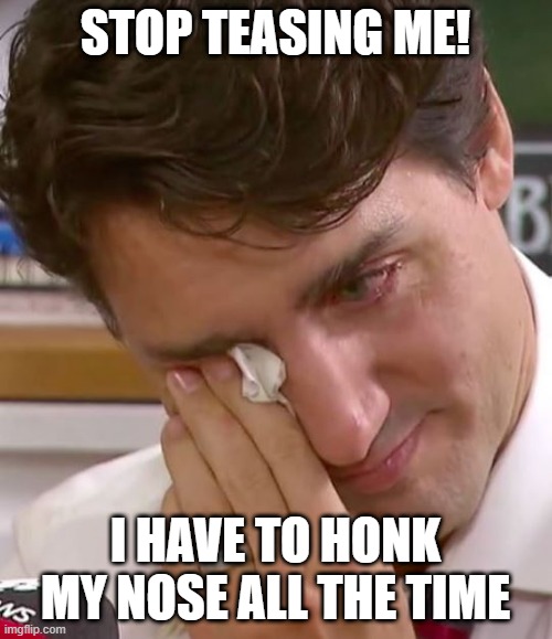 Justin Trudeau Crying | STOP TEASING ME! I HAVE TO HONK MY NOSE ALL THE TIME | image tagged in justin trudeau crying | made w/ Imgflip meme maker