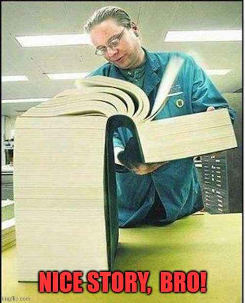 big book | NICE STORY,  BRO! | image tagged in big book | made w/ Imgflip meme maker