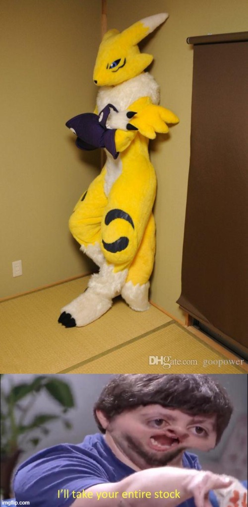 It's amazing how artistic some people can be! | image tagged in i'll take your entire stock,digimon,renamon,furry,fursuit,memes | made w/ Imgflip meme maker