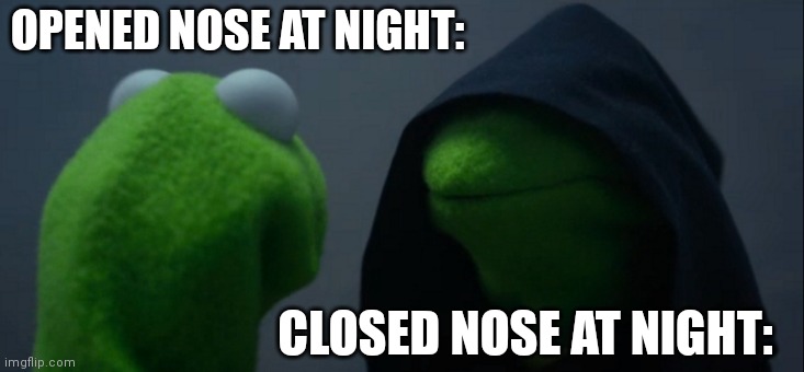 Evil Kermit | OPENED NOSE AT NIGHT:; CLOSED NOSE AT NIGHT: | image tagged in memes,evil kermit | made w/ Imgflip meme maker