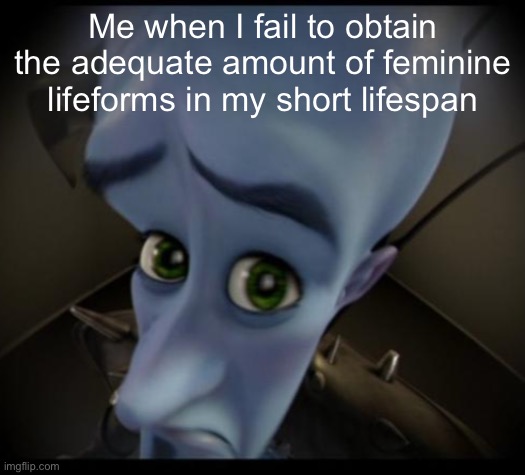 Megamind peeking | Me when I fail to obtain the adequate amount of feminine lifeforms in my short lifespan | image tagged in no bitches | made w/ Imgflip meme maker