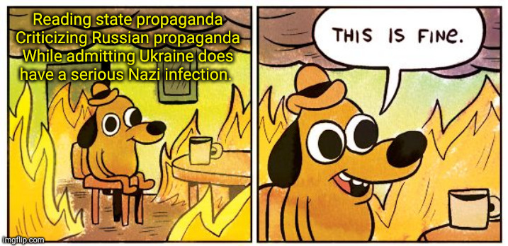 Newsbreak | Reading state propaganda
Criticizing Russian propaganda
While admitting Ukraine does have a serious Nazi infection. | image tagged in memes,this is fine | made w/ Imgflip meme maker