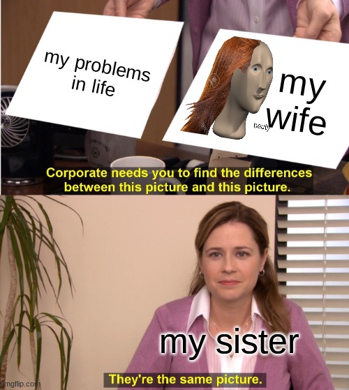 They're The Same Picture | my problems in life; my wife; my sister | image tagged in memes,they're the same picture | made w/ Imgflip meme maker