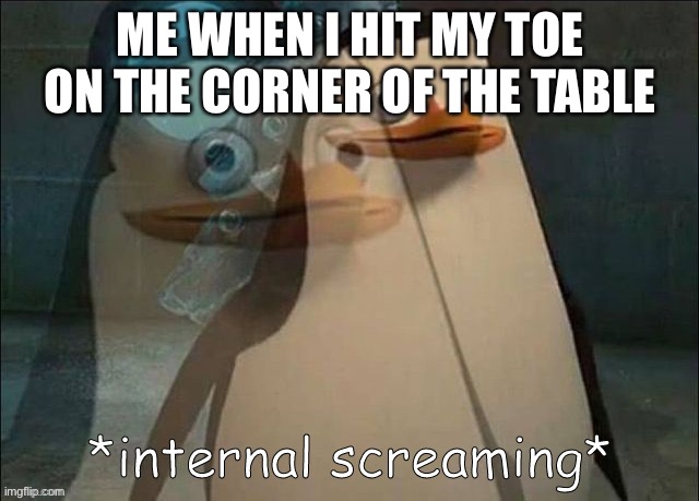This hurst a lot | ME WHEN I HIT MY TOE ON THE CORNER OF THE TABLE | image tagged in private internal screaming,memes,funny,lol | made w/ Imgflip meme maker