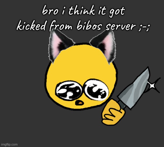 i did nothing wrong- *upsets bread noises* | bro i think it got kicked from bibos server ;-; | image tagged in no bitches | made w/ Imgflip meme maker