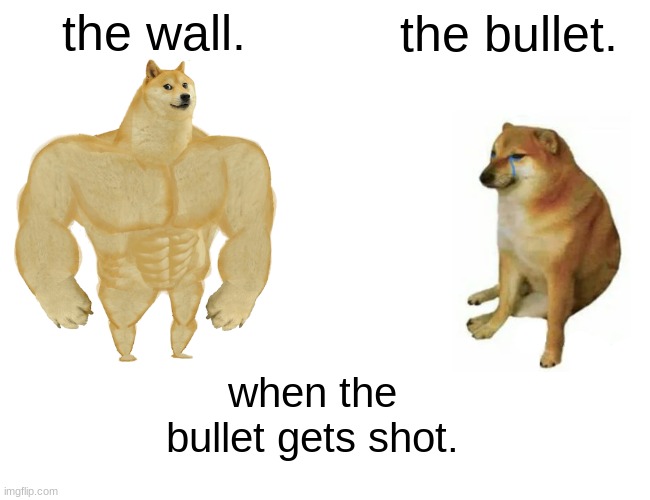 Buff Doge vs. Cheems Meme | the wall. the bullet. when the bullet gets shot. | image tagged in memes,buff doge vs cheems | made w/ Imgflip meme maker
