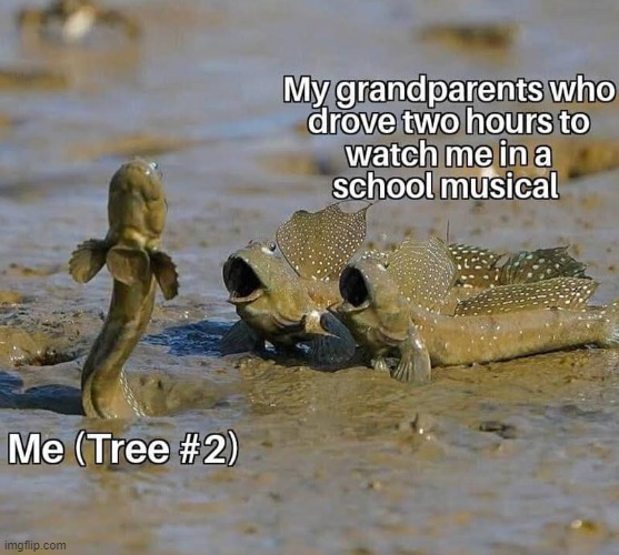 image tagged in grandparents,school,musical | made w/ Imgflip meme maker