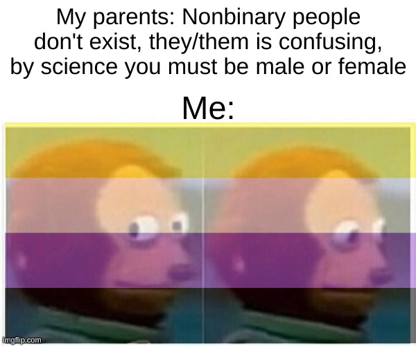 Life is hard | My parents: Nonbinary people don't exist, they/them is confusing, by science you must be male or female; Me: | image tagged in nonbinary,valid,parents,monkey puppet | made w/ Imgflip meme maker