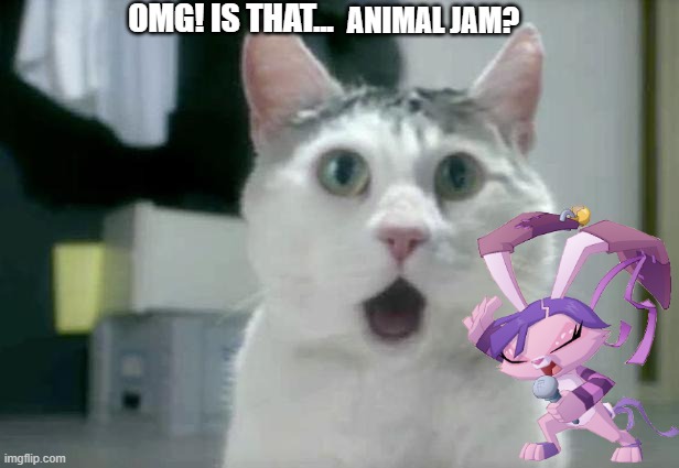 Cat Sees AJ Peck Sing | OMG! IS THAT... ANIMAL JAM? | image tagged in memes,omg cat | made w/ Imgflip meme maker