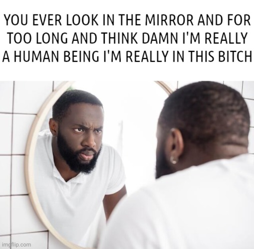 Mirror mirror on the mirror.. | image tagged in memes,reddit,funny,top post | made w/ Imgflip meme maker