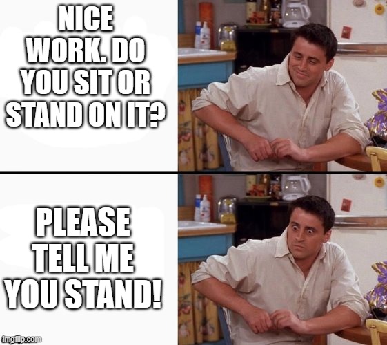Comprehending Joey | NICE WORK. DO YOU SIT OR STAND ON IT? PLEASE TELL ME YOU STAND! | image tagged in comprehending joey | made w/ Imgflip meme maker