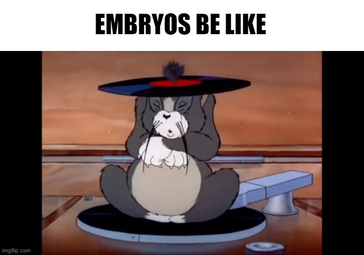 repost if agree | EMBRYOS BE LIKE | image tagged in tom funny | made w/ Imgflip meme maker