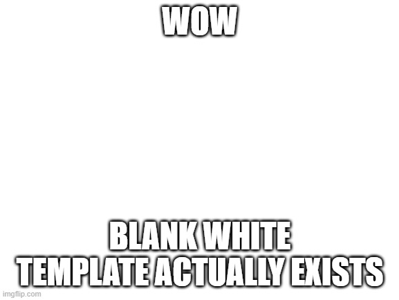 Blank White Template | WOW; BLANK WHITE TEMPLATE ACTUALLY EXISTS | image tagged in blank white template | made w/ Imgflip meme maker