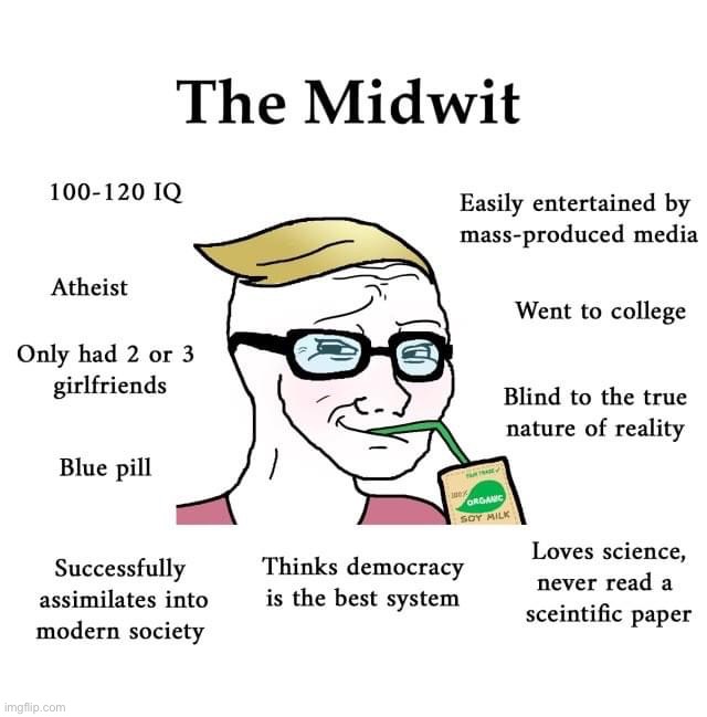 Based midwit | image tagged in the midwit,b,a,s,e,d | made w/ Imgflip meme maker