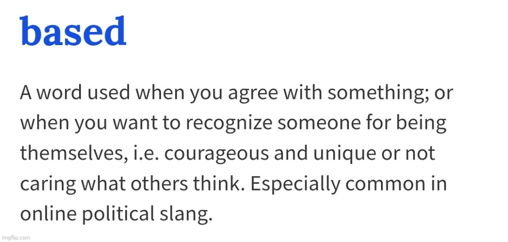 In other words, you could roast a furry. And if they don't care, they're based | made w/ Imgflip meme maker