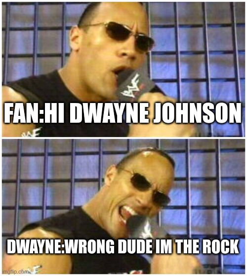 The Rock It Doesn't Matter Meme | FAN:HI DWAYNE JOHNSON; DWAYNE:WRONG DUDE IM THE ROCK | image tagged in memes,the rock it doesn't matter | made w/ Imgflip meme maker