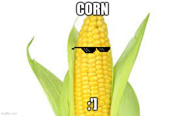 corn | CORN; :'] | image tagged in corn,yellow | made w/ Imgflip meme maker