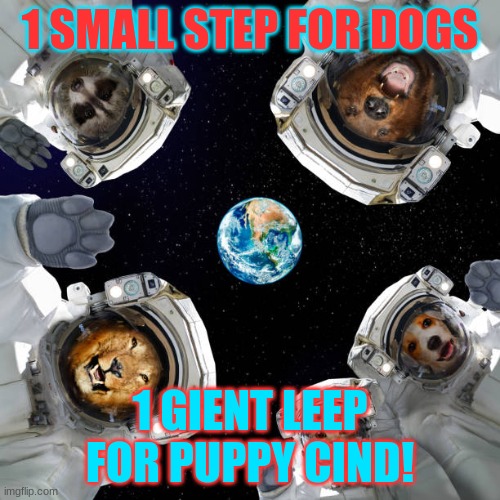 Animals astronauts  cat, dogs, lion, raccoon in space | 1 SMALL STEP FOR DOGS; 1 GIENT LEEP FOR PUPPY CIND! | image tagged in animals astronauts cat dogs lion raccoon in space | made w/ Imgflip meme maker