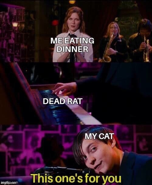 image tagged in dark humor | made w/ Imgflip meme maker
