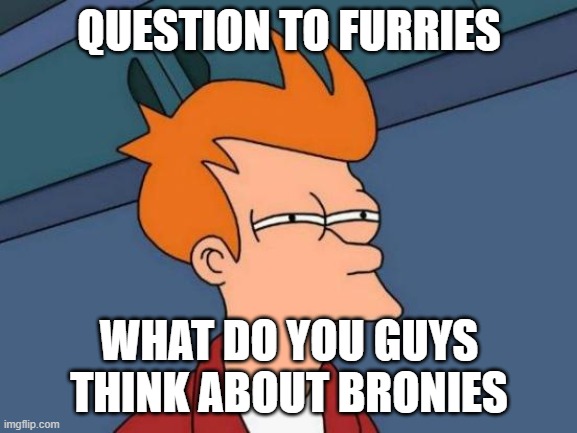 Futurama Fry Meme | QUESTION TO FURRIES; WHAT DO YOU GUYS THINK ABOUT BRONIES | image tagged in memes,futurama fry | made w/ Imgflip meme maker