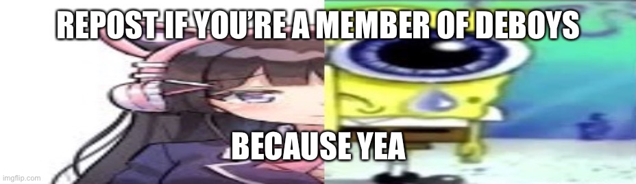lol | REPOST IF YOU’RE A MEMBER OF DEBOYS; BECAUSE YEA | image tagged in lol | made w/ Imgflip meme maker