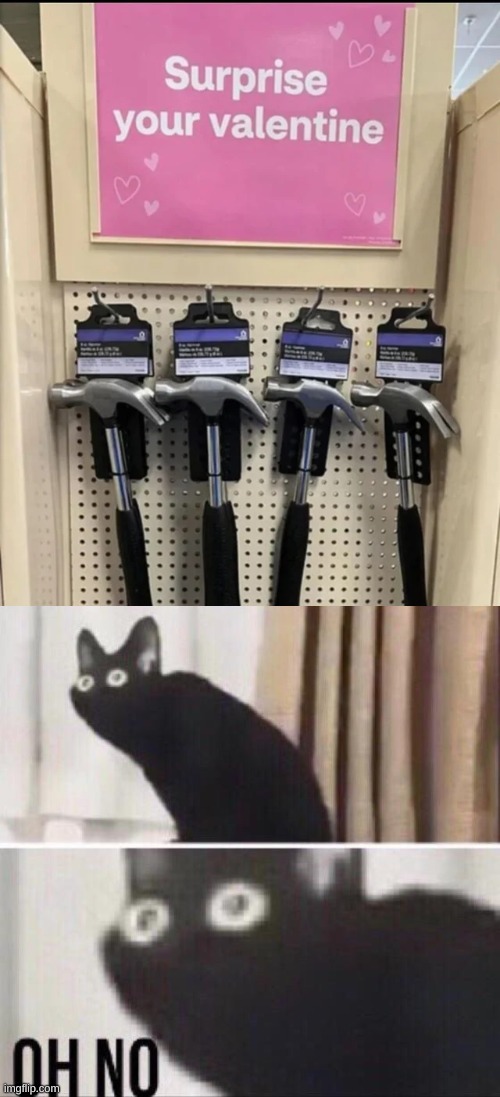 But why, why would you do that? | image tagged in oh no cat,you had one job,valentine,but why why would you do that,hammer | made w/ Imgflip meme maker