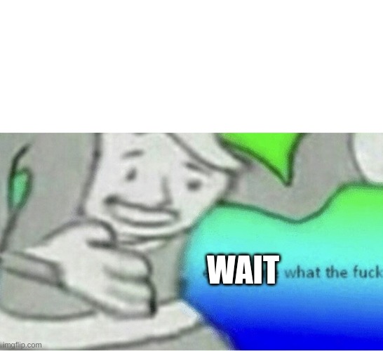 Excuse me wtf blank template | WAIT | image tagged in excuse me wtf blank template | made w/ Imgflip meme maker