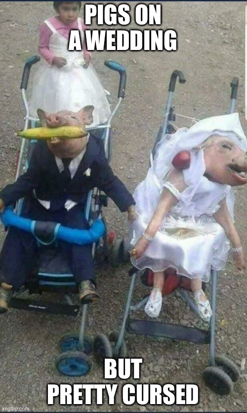 Cursed pigs | PIGS ON A WEDDING; BUT PRETTY CURSED | image tagged in memes,cursed image,funny,pigs | made w/ Imgflip meme maker