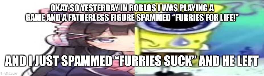 lol | OKAY SO YESTERDAY IN ROBLOS I WAS PLAYING A GAME AND A FATHERLESS FIGURE SPAMMED “FURRIES FOR LIFE!”; AND I JUST SPAMMED “FURRIES SUCK” AND HE LEFT | image tagged in lol | made w/ Imgflip meme maker