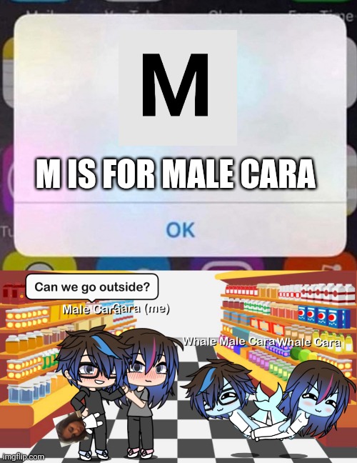 Male Cara bought ANOTHER SONYA DOLL AGAIN?!?!! THE WHALES ARE HERE! | M IS FOR MALE CARA | image tagged in iphone notification,pop up school,memes,love,spring break | made w/ Imgflip meme maker