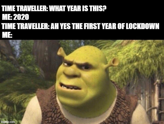 first year of lockdown | TIME TRAVELLER: WHAT YEAR IS THIS? ME: 2020; TIME TRAVELLER: AH YES THE FIRST YEAR OF LOCKDOWN; ME: | image tagged in shrek concerned | made w/ Imgflip meme maker