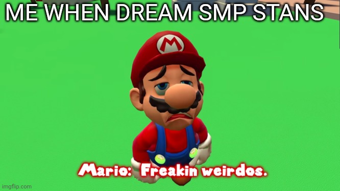 Freaking weirdos | ME WHEN DREAM SMP STANS | image tagged in freaking weirdos | made w/ Imgflip meme maker