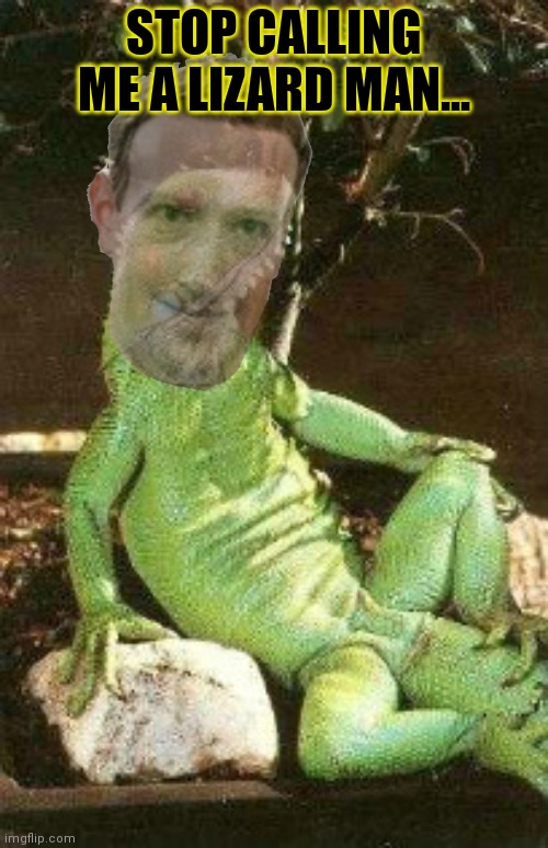 Why would you do that? | STOP CALLING ME A LIZARD MAN... | image tagged in iguana213424,but why why would you do that,ive got no idea,whats going on | made w/ Imgflip meme maker