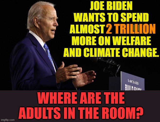 How Does That Do Anything But Make Inflation Worse? | JOE BIDEN WANTS TO SPEND ALMOST 2 TRILLION MORE ON WELFARE AND CLIMATE CHANGE. 2 TRILLION; WHERE ARE THE ADULTS IN THE ROOM? | image tagged in memes,politics,joe biden,more,welfare,climate change | made w/ Imgflip meme maker
