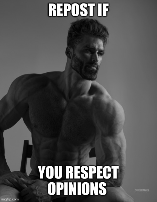 Giga Chad | REPOST IF; YOU RESPECT OPINIONS | image tagged in giga chad | made w/ Imgflip meme maker