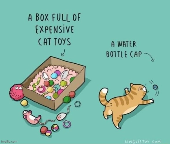 A Cat's Way Of Thinking | image tagged in memes,comics,cats,toys,bottle,cap | made w/ Imgflip meme maker