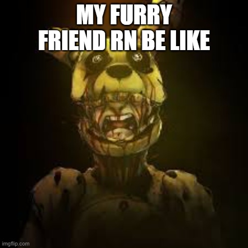 Springlocked Karma | MY FURRY FRIEND RN BE LIKE | image tagged in springlocked karma | made w/ Imgflip meme maker