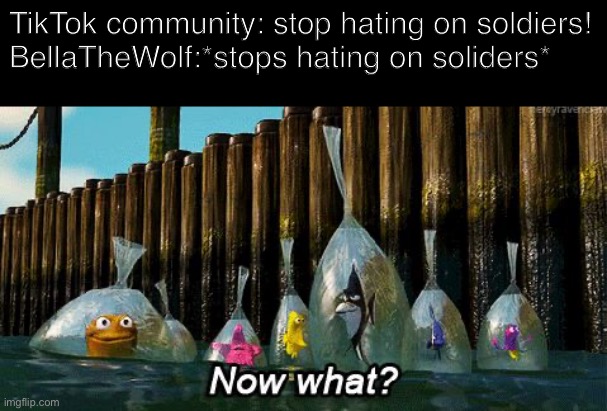 Now what | TikTok community: stop hating on soldiers!
BellaTheWolf:*stops hating on soliders* | image tagged in now what | made w/ Imgflip meme maker
