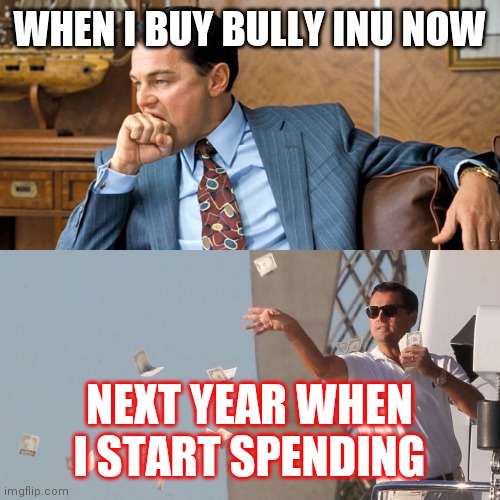 When I buy stuff for me | WHEN I BUY BULLY INU NOW; NEXT YEAR WHEN I START SPENDING | image tagged in when i buy stuff for me | made w/ Imgflip meme maker