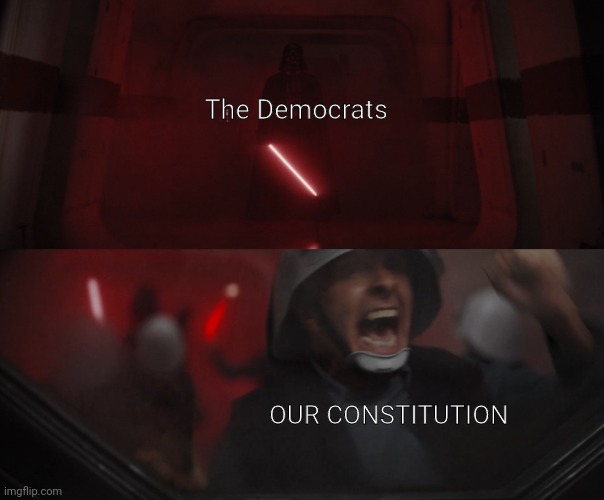 Never Stood A Chance | The Democrats; OUR CONSTITUTION | image tagged in darth vader vs rebel,election,democrats,politics,star wars | made w/ Imgflip meme maker