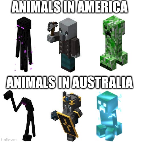 Crazy scary | ANIMALS IN AMERICA; ANIMALS IN AUSTRALIA | image tagged in memes,blank transparent square,minecraft | made w/ Imgflip meme maker