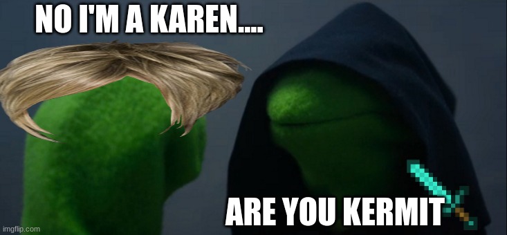 Evil Kermit | NO I'M A KAREN.... ARE YOU KERMIT | image tagged in memes,evil kermit | made w/ Imgflip meme maker