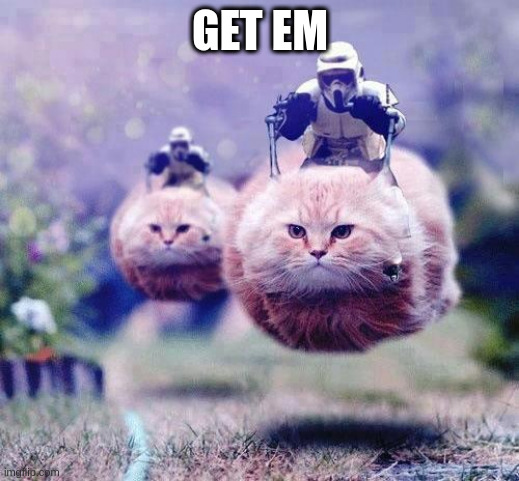 Storm Trooper Cats | GET EM | image tagged in storm trooper cats | made w/ Imgflip meme maker