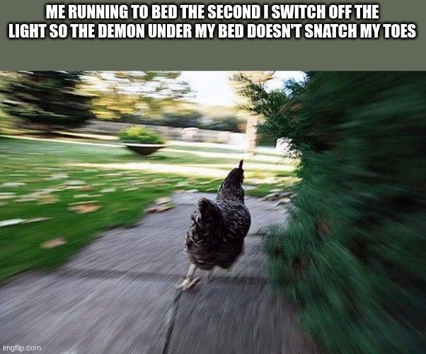RUN | ME RUNNING TO BED THE SECOND I SWITCH OFF THE LIGHT SO THE DEMON UNDER MY BED DOESN'T SNATCH MY TOES | image tagged in chicken running | made w/ Imgflip meme maker
