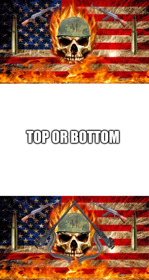 which one looks better | TOP OR BOTTOM | image tagged in blank white template,made with google slides | made w/ Imgflip meme maker