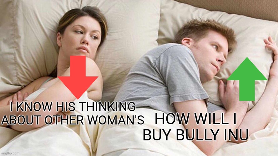 I Bet He's Thinking About Other Women | I KNOW HIS THINKING
ABOUT OTHER WOMAN'S; HOW WILL I BUY BULLY INU | image tagged in memes,i bet he's thinking about other women | made w/ Imgflip meme maker