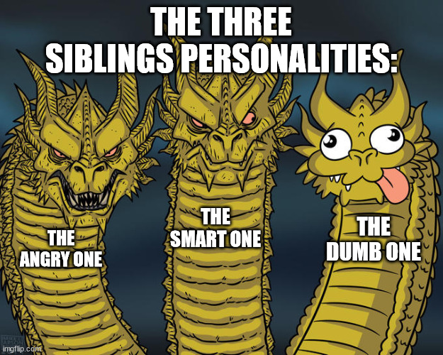 Three-headed Dragon | THE THREE SIBLINGS PERSONALITIES:; THE SMART ONE; THE DUMB ONE; THE ANGRY ONE | image tagged in three-headed dragon | made w/ Imgflip meme maker